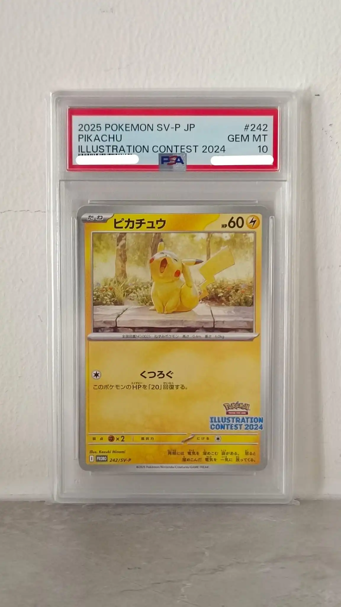 Pikachu Illustration Contest 2024